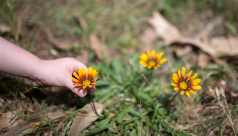 5 errores que hacen que tu casa luzca descuidada | Estilo de Vida Hogar ...