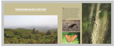 Thane Creek Flamingo Sanctuary | EcoTourism