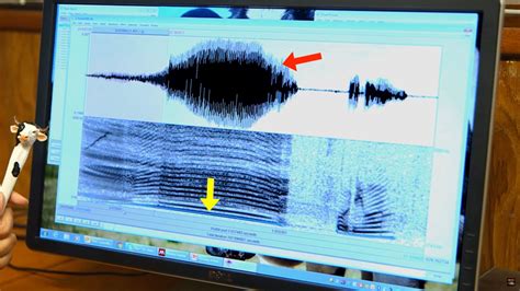 Image result for Praat Phonetics