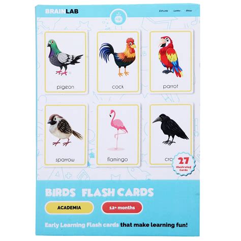 Buy THE BRAIN LAB Pack of 27, Birds Flash Cards for Kids, 1 Yr & Above ...