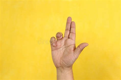 Image result for Audio and Visual Perception in Sign Language
