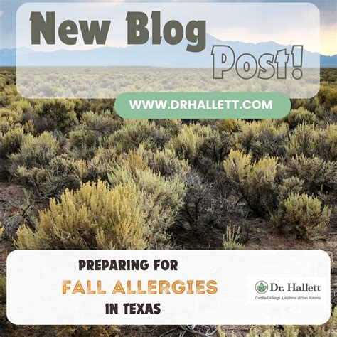 Fall Allergies Checklist: Preparing for Fall Allergies in Texas - Dr ...
