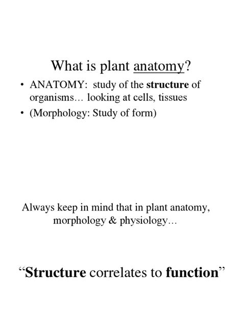 Botany 的图像结果