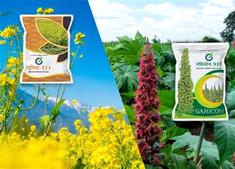 Gahicon Agrosys (P) Limited