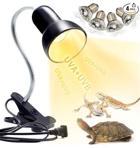 Image result for Red Ear Slider Turtle Tank Setup