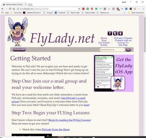 FlyLady Fly 的图像结果