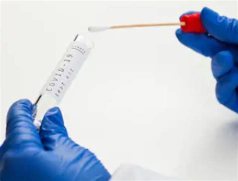 What Is PCR Test 的图像结果