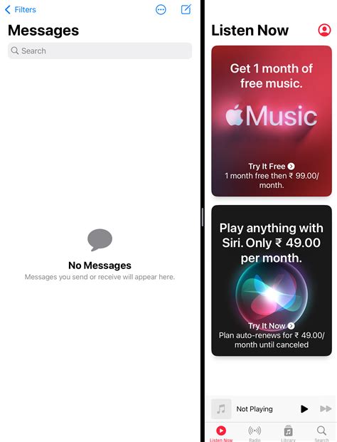 Split Screen iOS 15 的图像结果