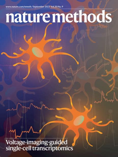 Springer Nature Methods Book 的图像结果