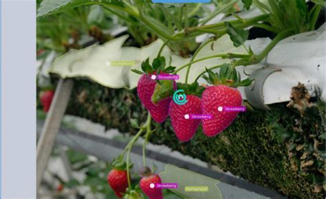 Image result for Bounding Box Annotation Tool