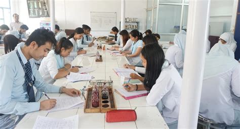 Dolphin PG Institute of Biomedical & Natural Sciences | DIBNS Dehradun ...