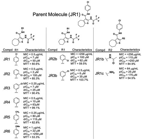 Identification of Small Molecule Inhibitors of Staphylococcus aureus RnpA