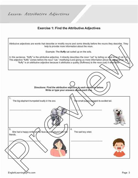 Image result for Attributive Adjectives Worksheet