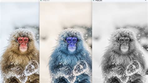 Color Space Computer Vision 的图像结果