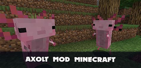 Image result for Minecraft Java Edition Axolotl Mod