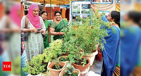 Despite efforts, natural farming doesn’t find many takers in AP ...