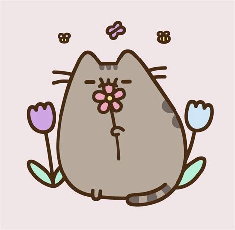 Pin on Pusheen