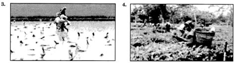 Image result for Class 7 Geography Chapter 8 Explanation