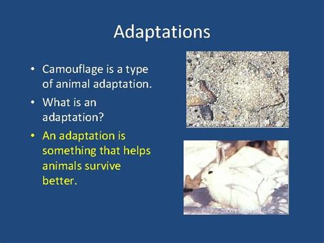 Image result for Applications of Greedy Algorithm