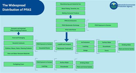 Per- and Polyfluoroalkyl Substances (PFAS)