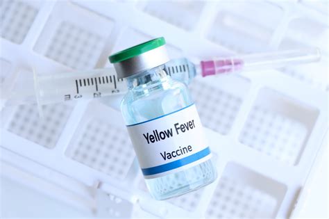 Do yellow fever vaccines truly provide effective lifelong protection against the disease after a ...