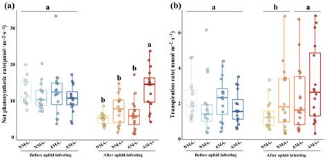 Arbuscular Mycorrhizal Fungus Alters Alfalfa (Medicago sativa) Defense ...