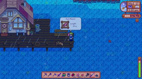 How to get a RED MULLET in Stardew Valley - YouTube