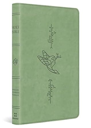 Kid's Bible: English Standard Version, Bird of the Air, Thinline ...