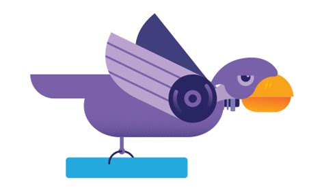 Image result for Creative Coding Programming Python