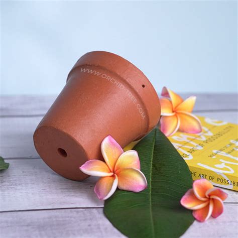 Terracotta Pots – Orchid-Tree