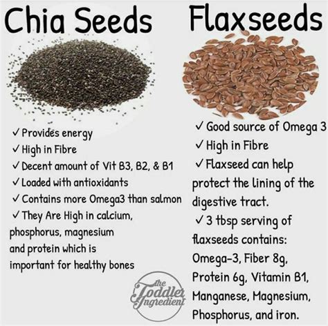 Health benefits of flax chia seeds – Artofit