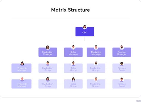 Basic Matrix Structure 的图像结果