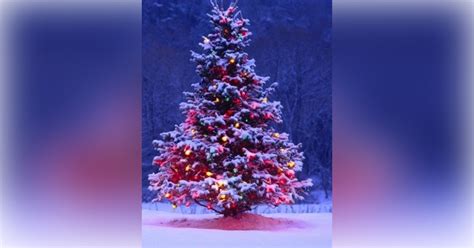 Miller-Bowersox Funeral Home Greencastle, Pennsylvania (PA) | Who Passed On