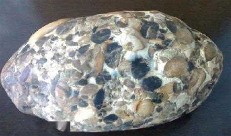鲕粒灰岩-Oolite-地质-岩石-矿物-矿石-标本-高清图片-中国新石器-百科-地质,知识,资料,教学,科普