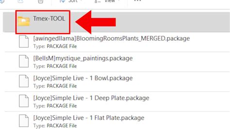 Image result for How to Install Tool Mod Sims 4
