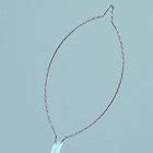 Polypectomy Snares | EndoTherapy Devices | All Products | Products ...