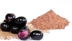 Buy Vedic Jamun Seeds (Jamun Guthali) Powder-100 Gram A Herbal Tablets ...