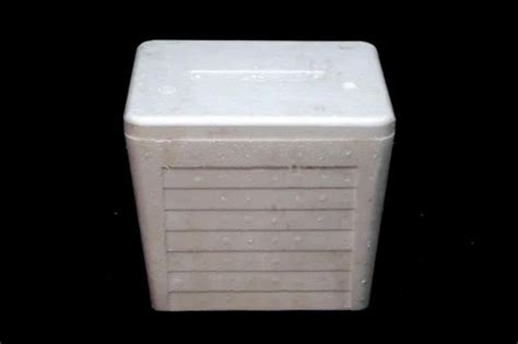 Thermocol Box - Thermocol EPS Small Pharma Box Manufacturer from Howrah