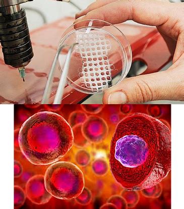 Biomedical Engineering Research 的图像结果