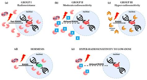 Low-Dose Radiation Therapy (LDRT) against Cancer and Inflammatory or ...