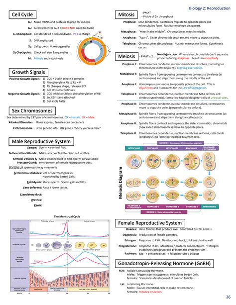 SOLUTION: Mcat review sheets biology - Studypool