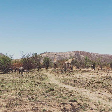 Unique-Safaris (Johannesburg) - 2021 What to Know Before You Go (with ...