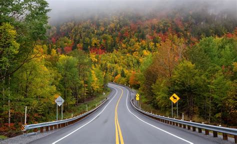 Image result for Service Quebec