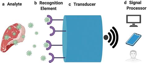 Food Level Sensor 的图像结果