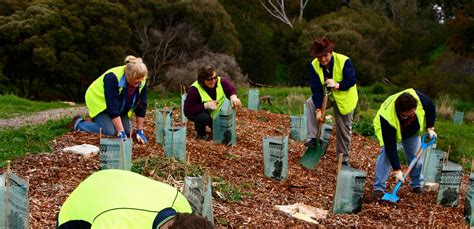 Volunteering 的图像结果