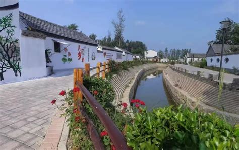 河南商丘6个村、3个镇、3个观光园区入选省级名单_新农村融媒网