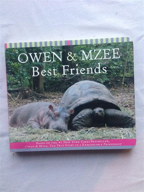 Owen and Mzee: Best Friends: Isabella Hatkoff, Craig Hatkoff and Dr ...