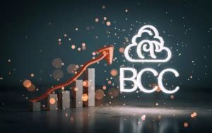 Image result for BCC Code