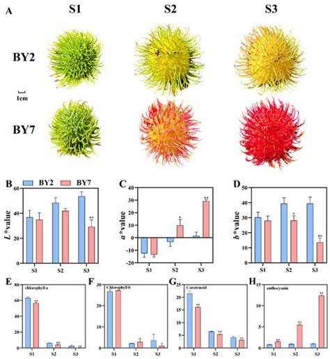 Comparative Metabolomic and Transcriptomic Analysis Reveals That ...