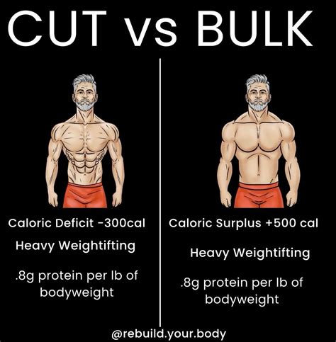 Rebuild Lifting on LinkedIn: CUT VS BULK? follow us on instagram ...